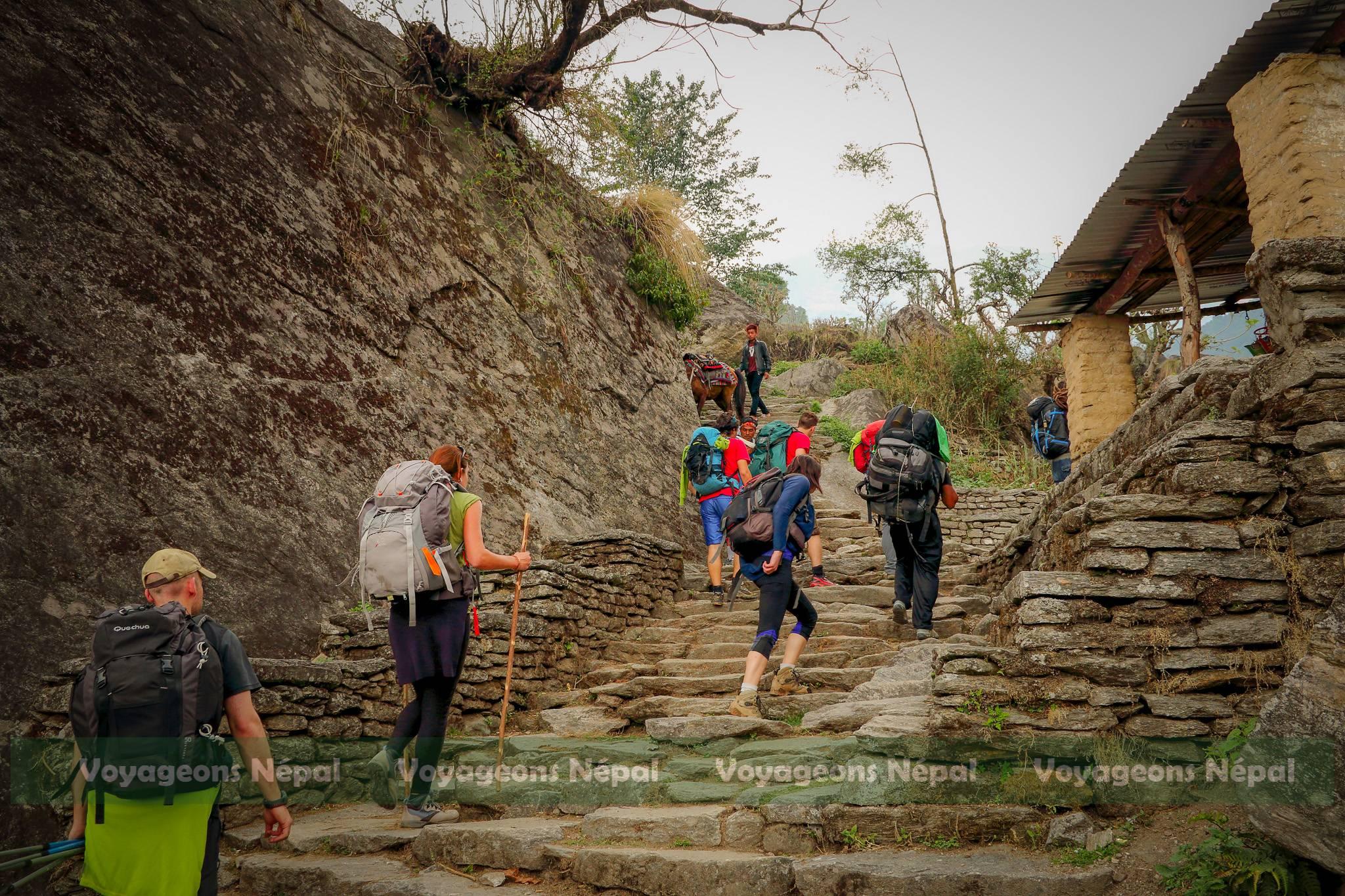 Trekking group climbing stone stairs